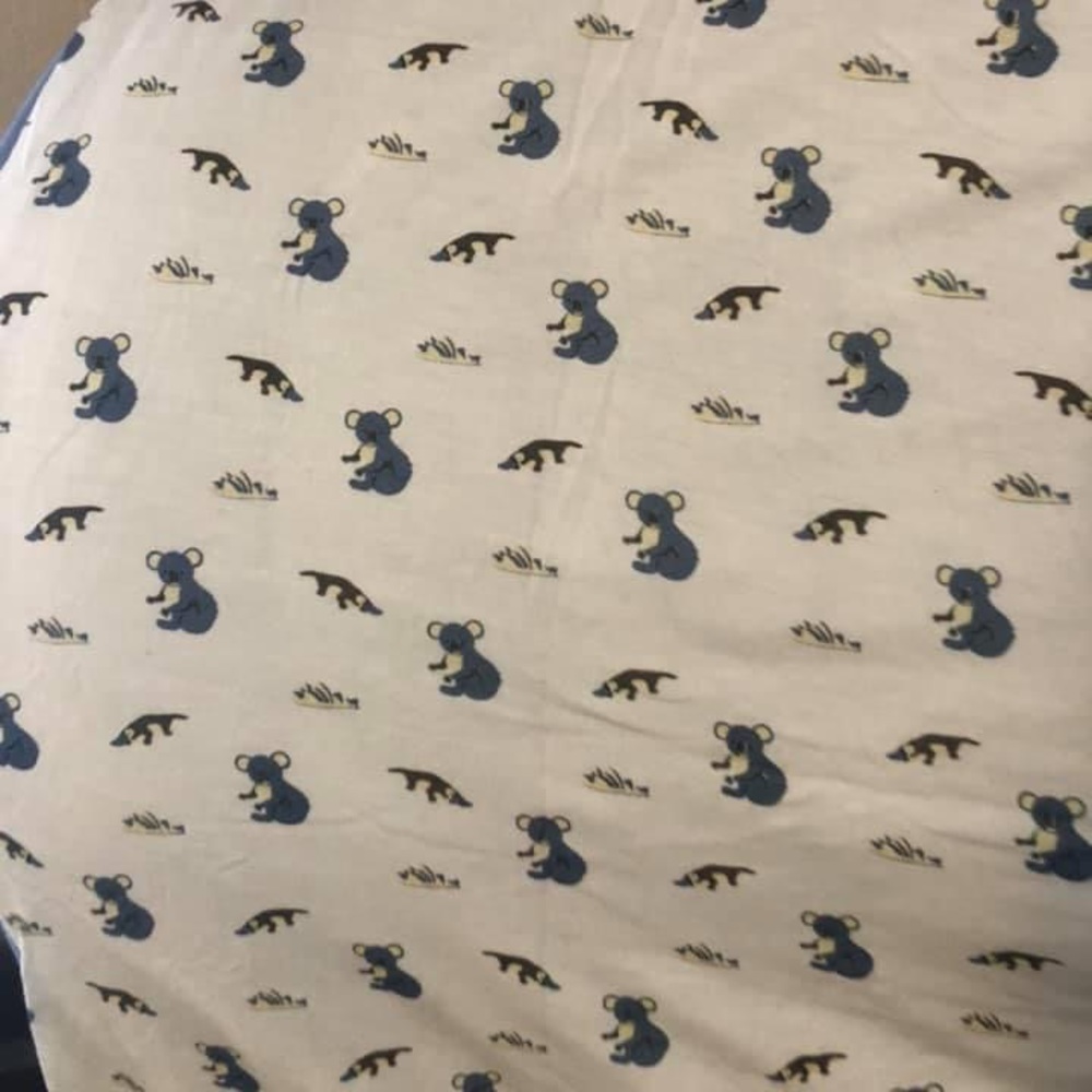 ISO AUSSIE KYTE BABY